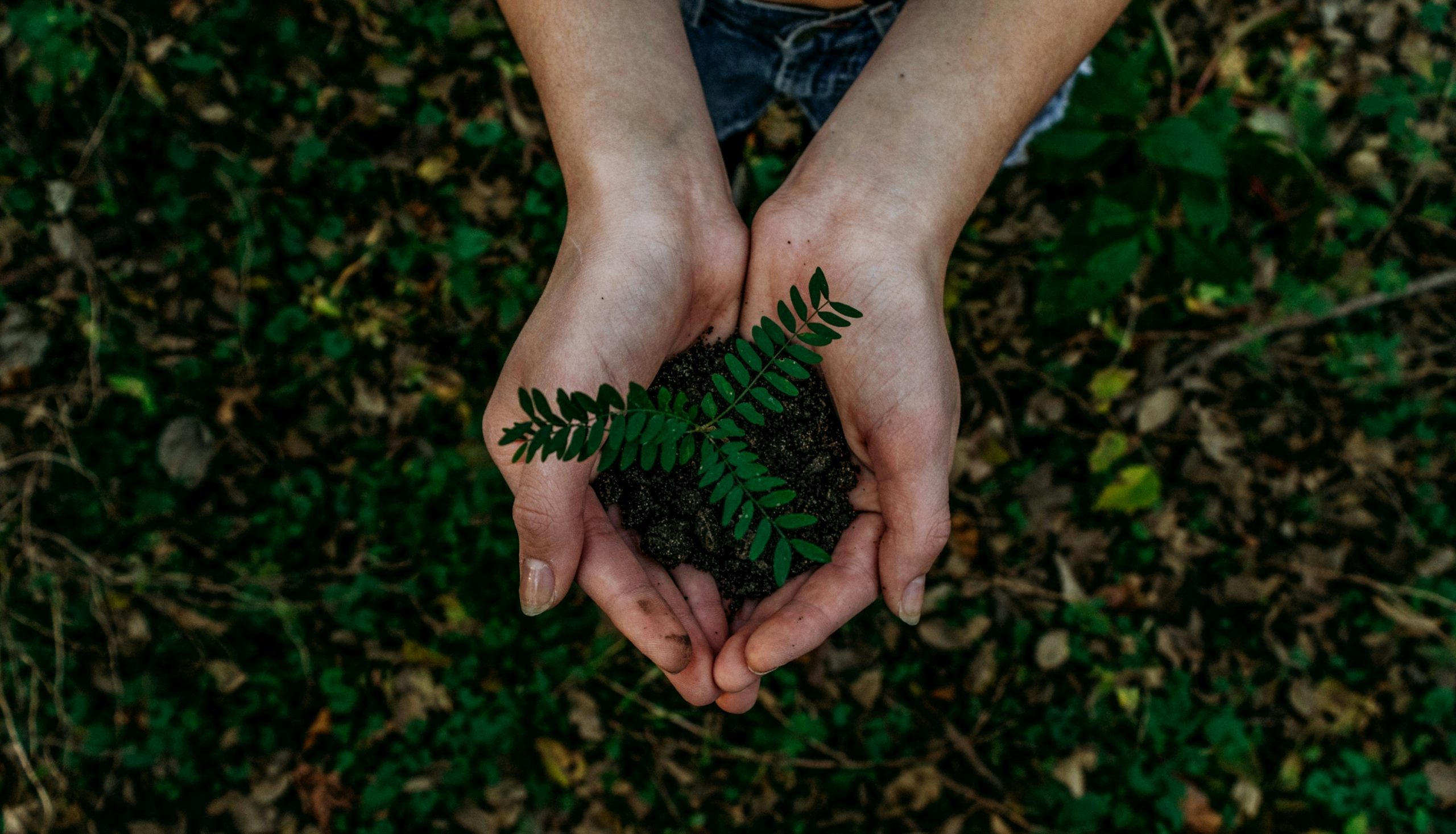 Journée de la Terre