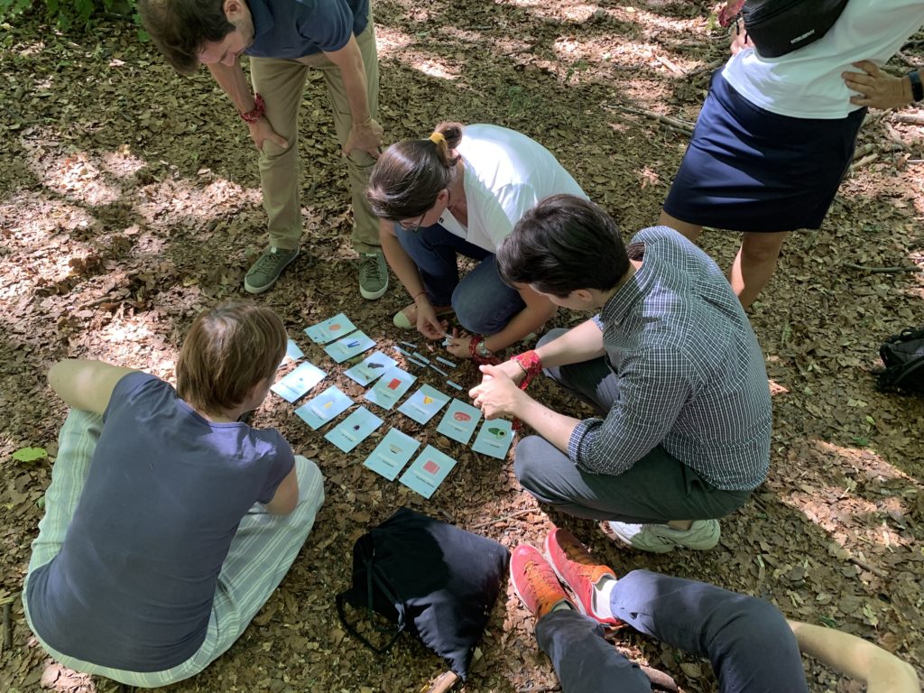 team building été olympiades en plein air 