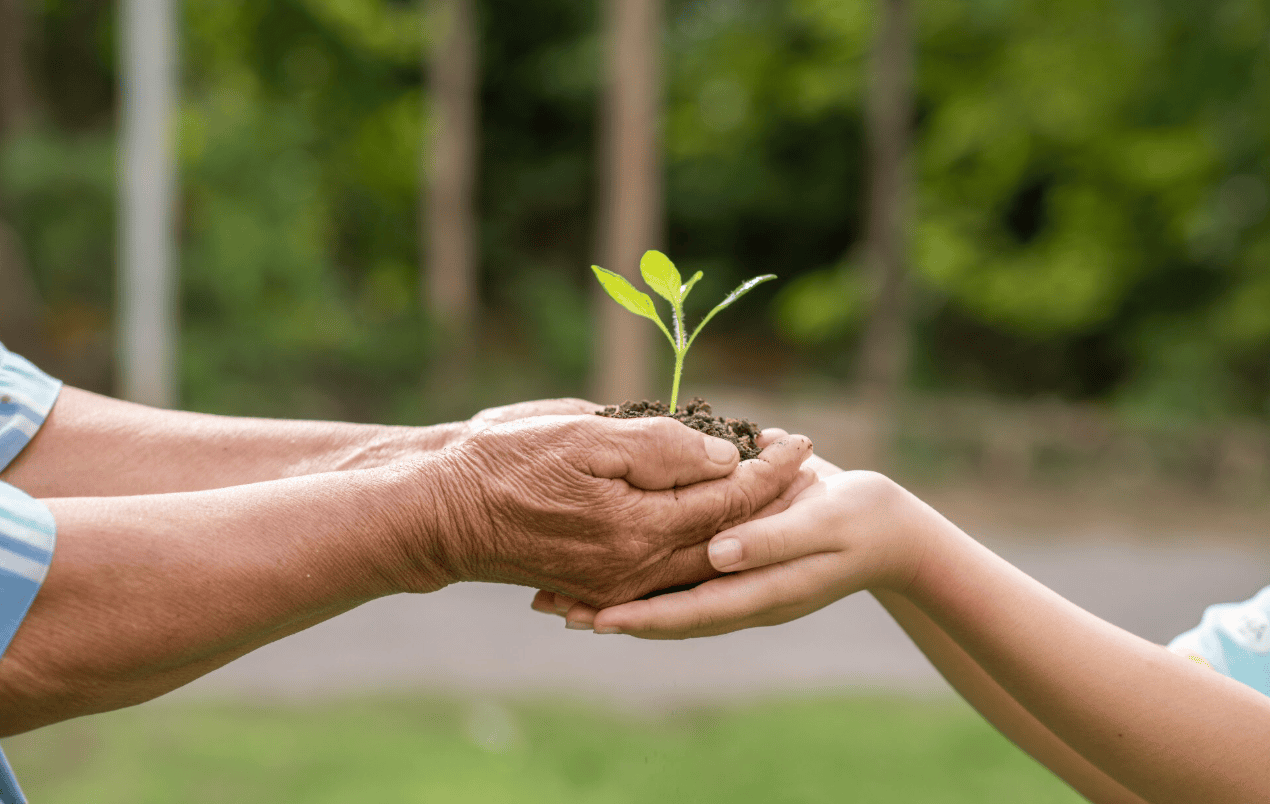Semaine Européenne du Développement Durable (SEDD) 2026
